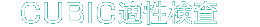 CUBIC適性検査