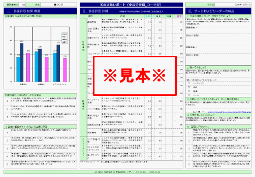 リーダーシップ強化　中間管理職向けレポート　サンプル画像